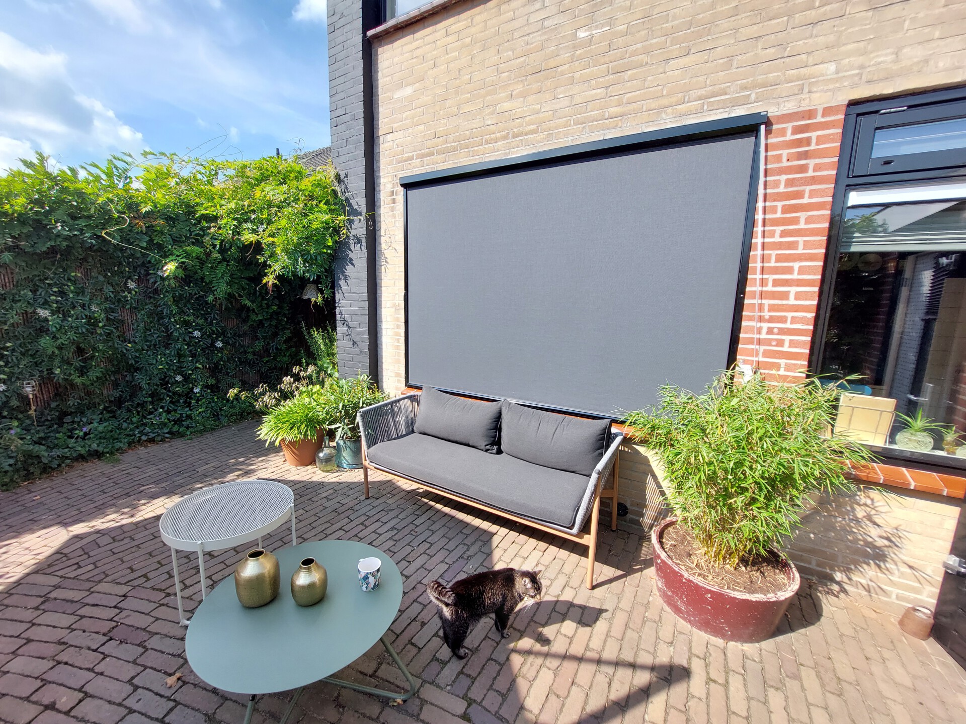 Terras met screens in antraciet voor een raam dat uitkijkt op een zonnig terras met een kat.