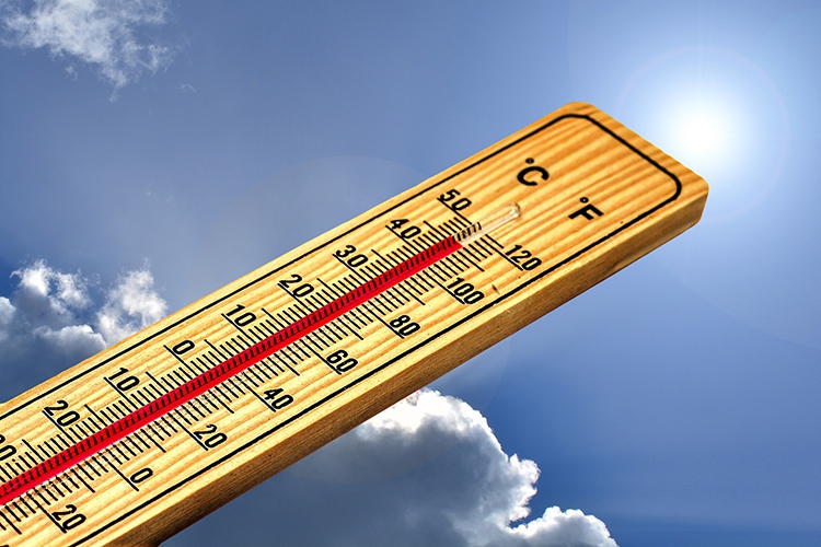 Hoe bereidt ú zich voor op de warmste zomer ooit? (5 nuttige tips!)
