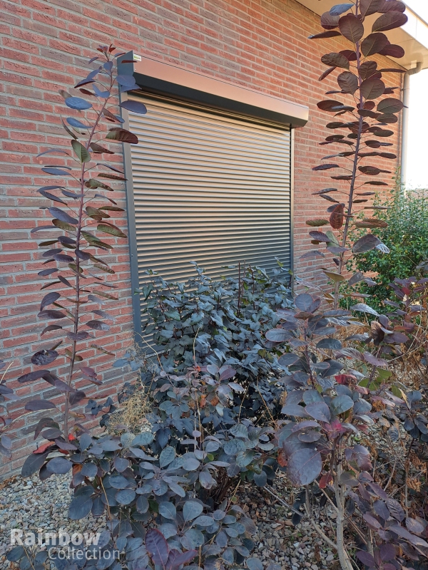 Rolluik
